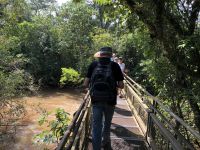 Iguazu 