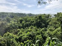 Iguazu 