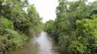 Iguazu Argentinien (31)