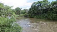 Iguazu Argentinien (32)