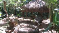 Iguazu Brasilien (77)