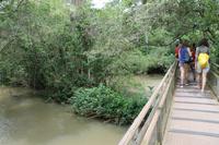 Iguazu Wasserfälle