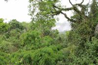 Iguazu Wasserfälle