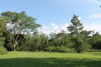 Iguazu Wasserfälle