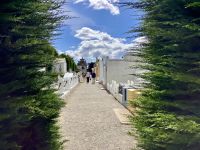 Im Friedhof