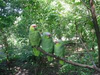 Im Parco Historico