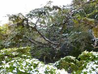 Im Schnee