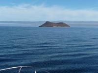 Insel Daphne