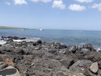 Insel Floreana