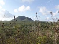 Insel Floreana