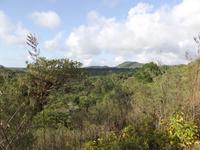 Insel Floreana