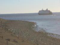 Insel Magdalena