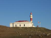 Insel Magdalena