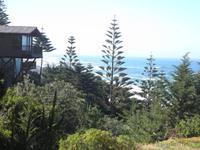 Isla Negra