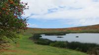 Kratersee beim Steinbruch Rano Raraku