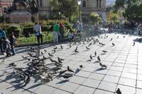 La Paz - Stadtrundgang
