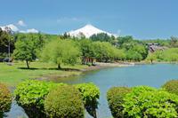 Lago Villarica