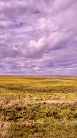 Laguna Blanca- Magallanes and Antartica Chilena Region- Chile