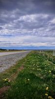 Laguna Blanca- Magallanes and Antartica Chilena Region- Chile