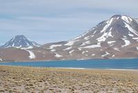 Laguna Miscanti