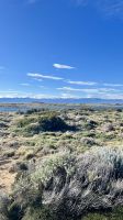 Laguna Nimez- Santa Cruz- Argentina
