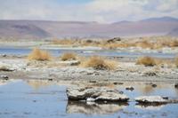 Laguna Salada, Bolivien