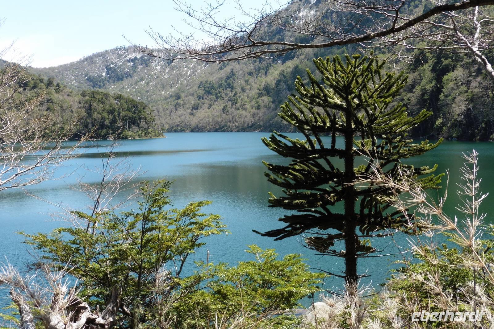 Laguna Verde