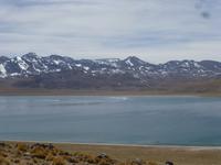 Lagune Meniques
