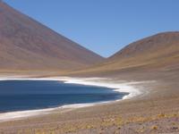 Lagune Miniques