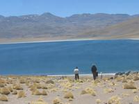 Lagune Miscanti
