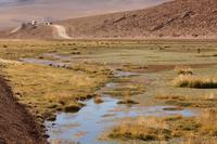 Landschaft in Chile