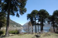 Lanin-Nationalpark