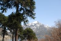 Lanin-Nationalpark