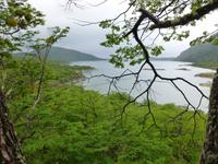 Lapataia-Bucht