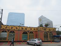 Lima (13)