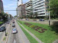 Lima (22)