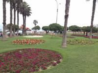 Lima (30)