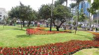 Lima (34)