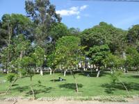 Lima (35)