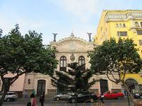 Lima (81)