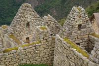 Machu Picchu (15)