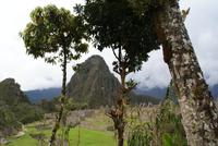 Machu Picchu (17)