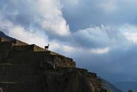Machu Pichu - Peru