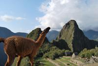 Machu Pichu - Peru