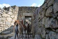 Machu Pichu - Peru
