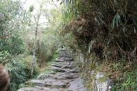 Machu Pichu - Peru