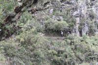 Machu Pichu - Peru