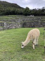 MachuPicchu 