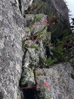 MachuPicchu 