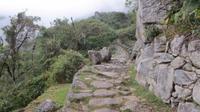 Machupicchu (104)